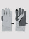 Ice Gray